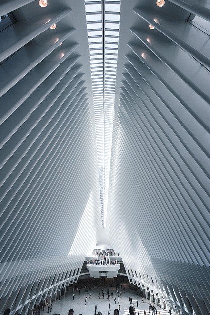 canada city skyline people using mobile devices public space